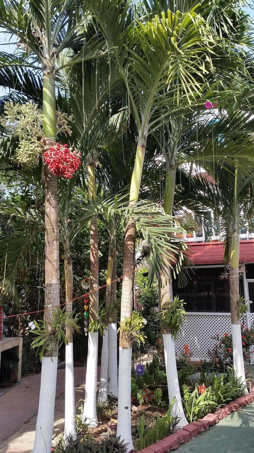 San Andres Ultd Inn Rnt # 30017 المظهر الخارجي الصورة